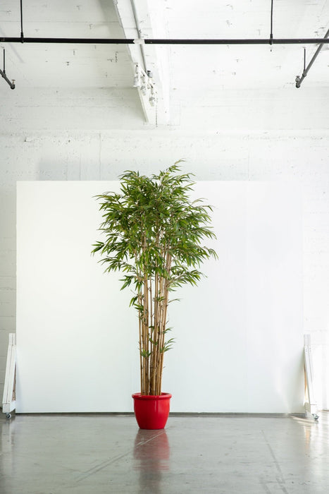 Faux Bamboo plant prop for photo shoot - rental item | Apex Photo Studios