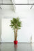 Faux Bamboo plant prop for photo shoot  - rental item | Apex Photo Studios 