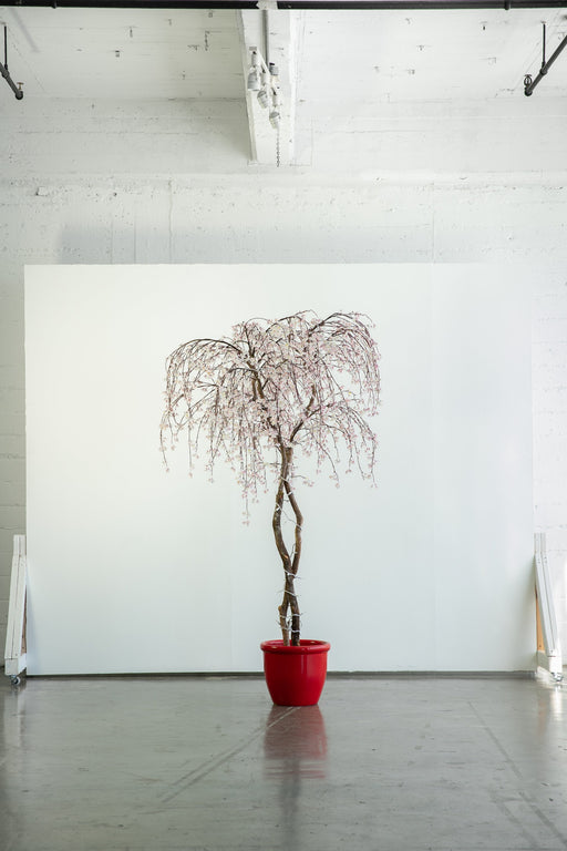 faux cherry blossom tree - rental item | Apex Photo Studios 