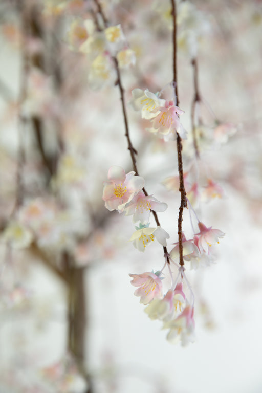 close up faux cherry blossom tree - rental item | Apex Photo Studios 